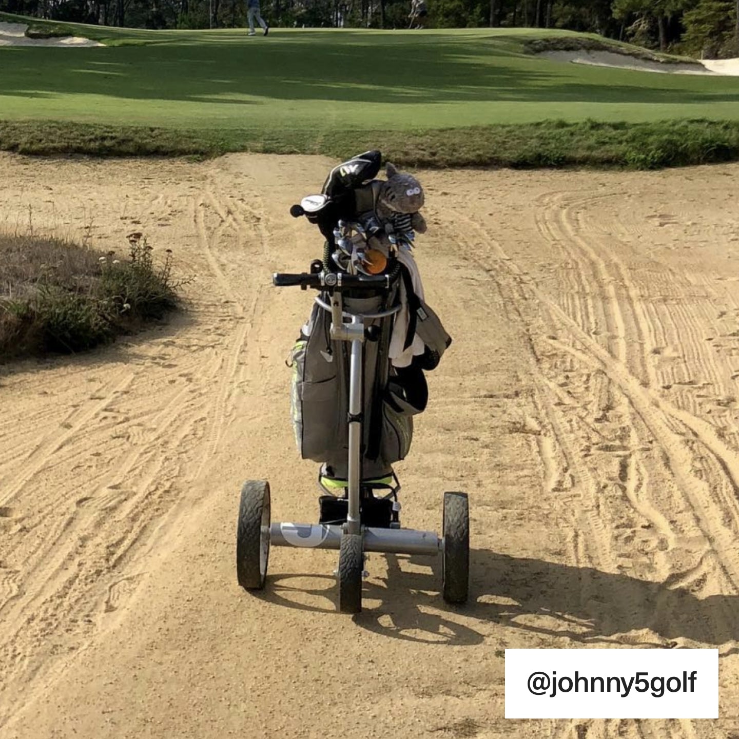 1500 V3 Electric Golf Push Cart With Remote Control